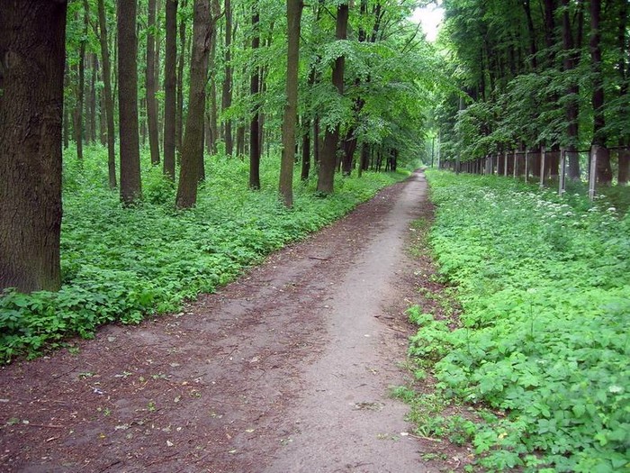 вінницький ботанічний сад