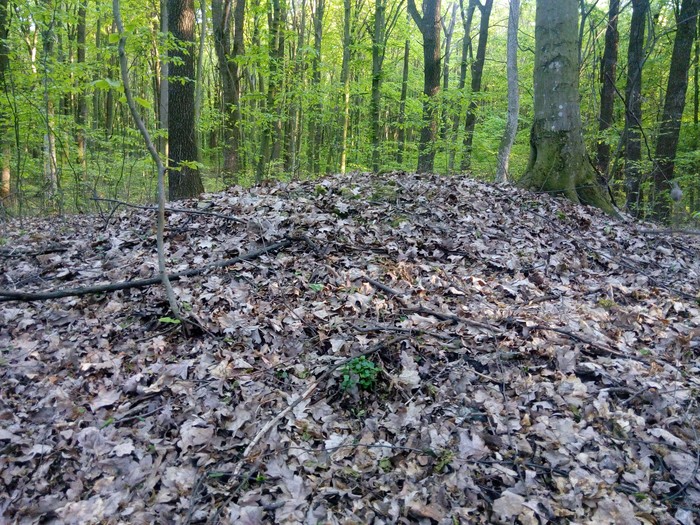 Кармалюкова гора у селі Лозна фото