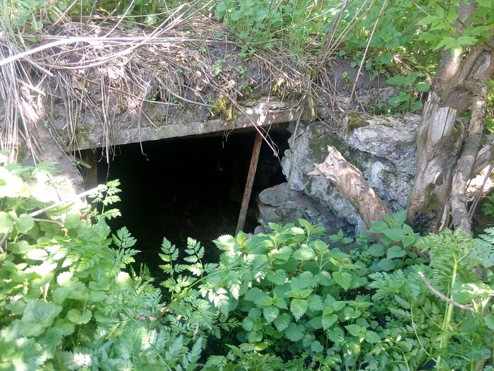 льох у селі Лозна фото