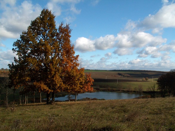 село Крикливець фото
