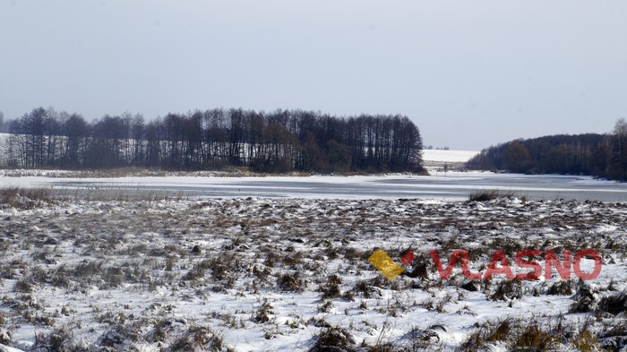 правозахисники щодо загибелі зубрів фото
