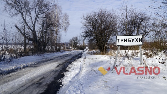 правозахисники щодо загибелі зубрів фото