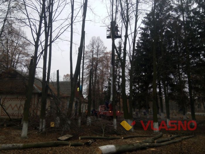 Агрономічне-вирубка дерев-2-фото