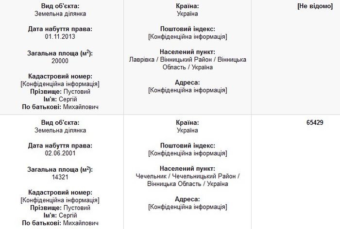 Пустовий-декларація-фото