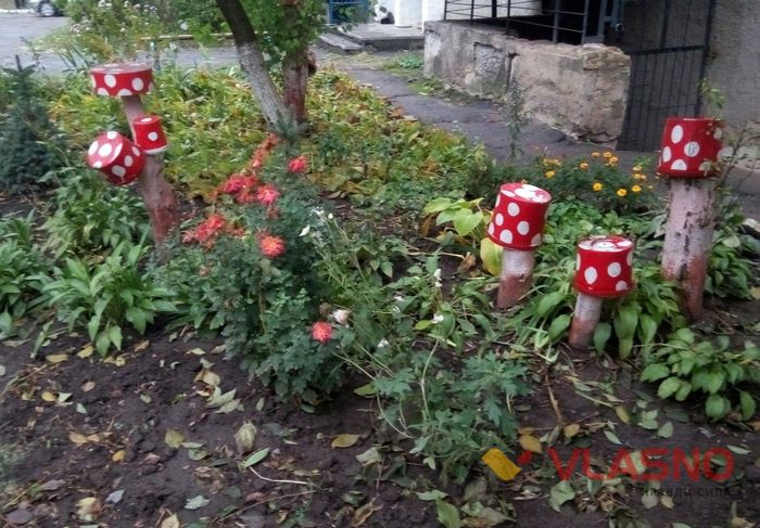 грибочки