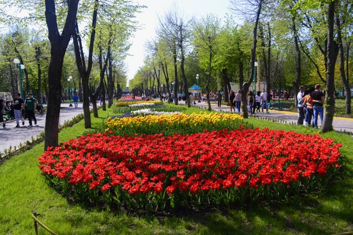 дендропарк у Кропивницькому фото