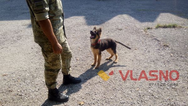 Як Чак, Бархан  та «зелені берети» пильнують водний кордон України на Вінниччині 