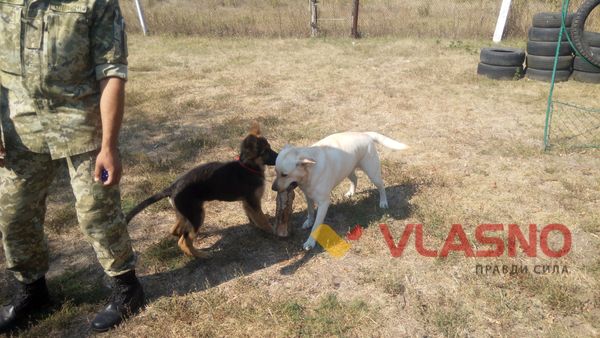 Як Чак, Бархан та «зелені берети» пильнують водний кордон України на Вінниччині 
