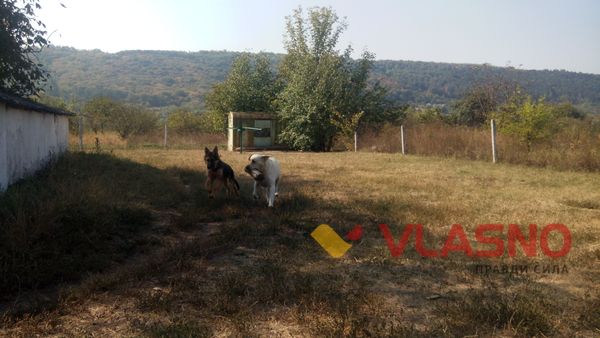 Як Чак, Бархан  та «зелені берети» пильнують водний кордон України на Вінниччині 