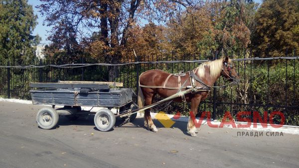 Як Чак, Бархан  та «зелені берети» пильнують водний кордон України на Вінниччині 