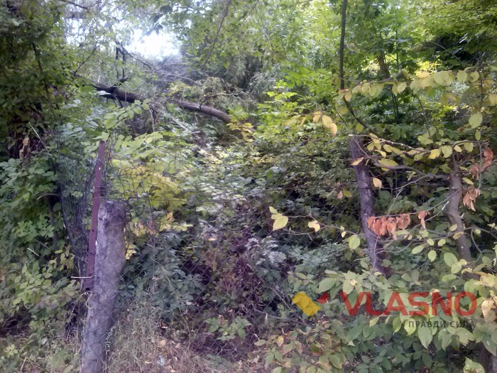 Ботанічний сад у Вінниці фото
