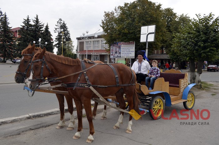 кінні екскурсії фото
