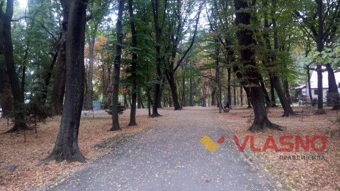 вінницька трагедія фото