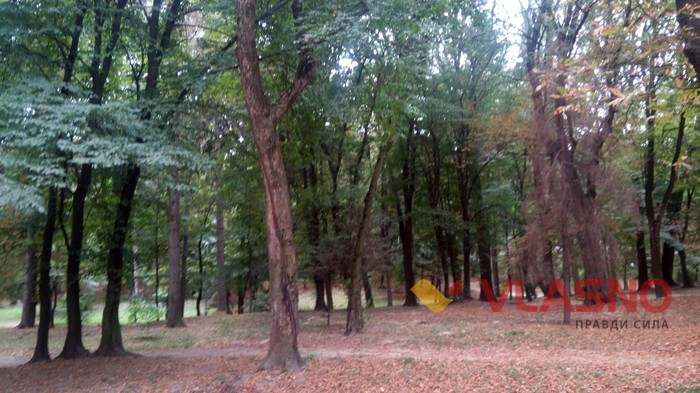 вінницька трагедія фото
