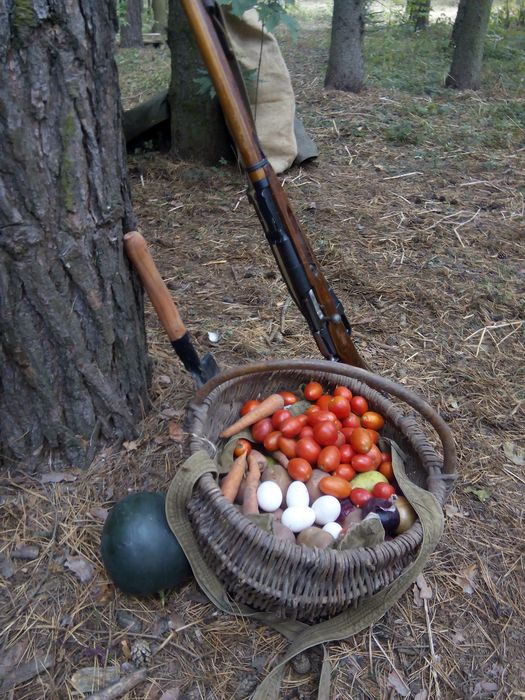 Ставка вервольф-4