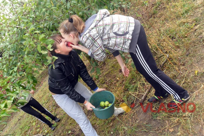 Терешки фото