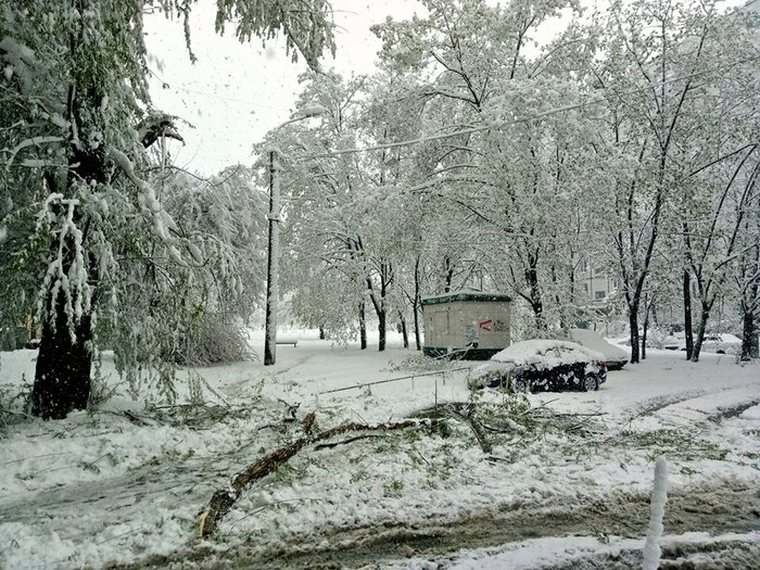 снігопад у Харкові фото