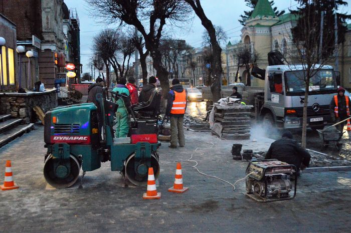 Попри кримінальні провадження у Вінниці будують притулок для тварин та паркан навколо парку