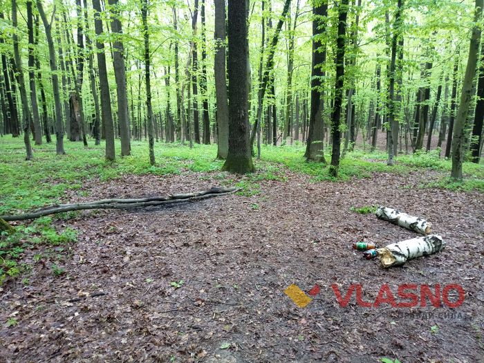 травневий відпочинок у Вінниці фото