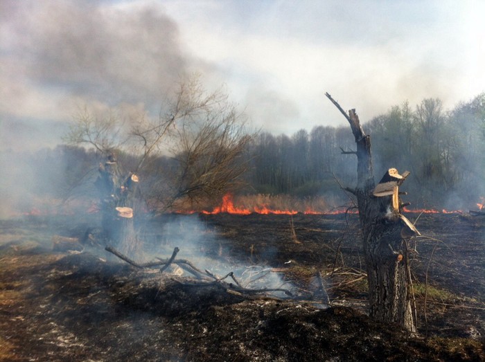 пожежі на Вінниччині фото