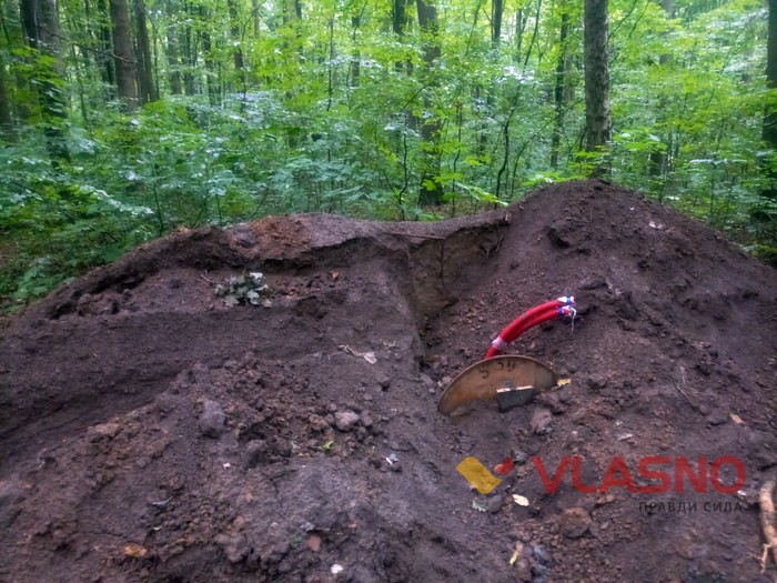 реконструкція Лісопарку у Вінниці фото