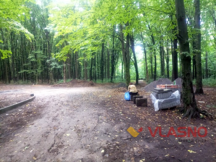 реконструкція Лісопарку у Вінниці фото