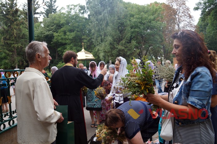 Маковея у Вінниці фото