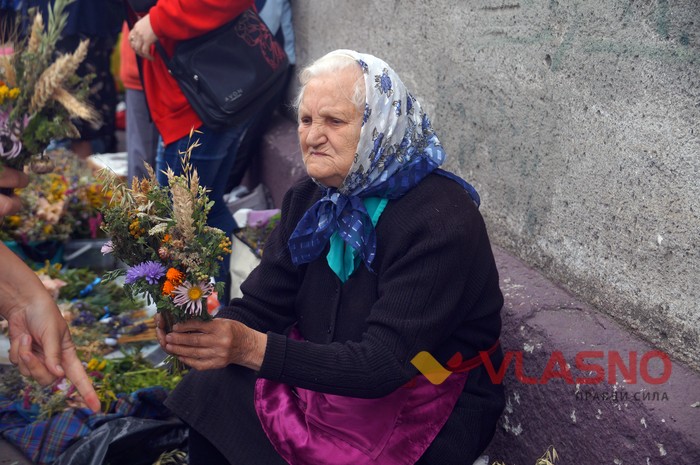 Маковея у Вінниці фото