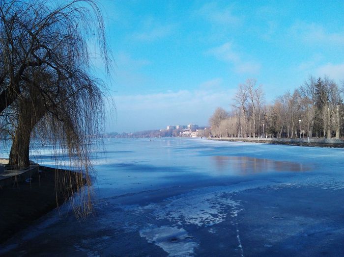 "Острів закоханих" у Тернополі фото