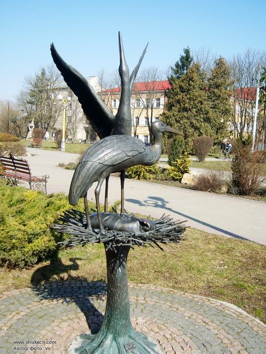 "Пара лелек" в Тернополі фото