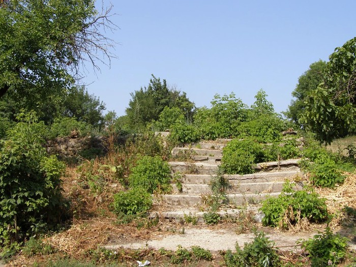 село Орлівка фото