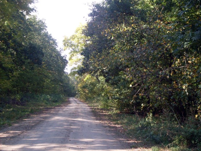 село Ократове фото