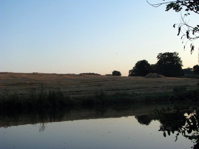 село Нетребівка фото