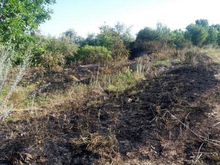 пожежа на смітнику на Вінниччині фото