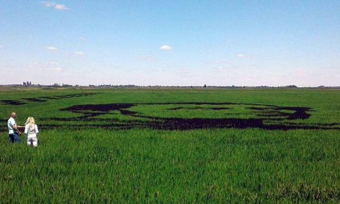 портрет Шевченка на полі фото