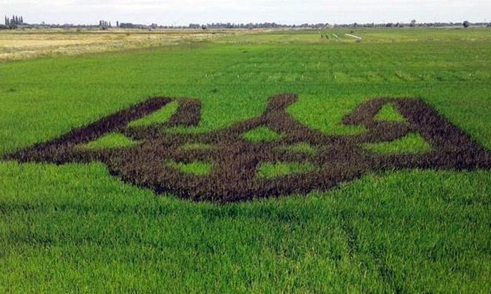 тризуб на полі