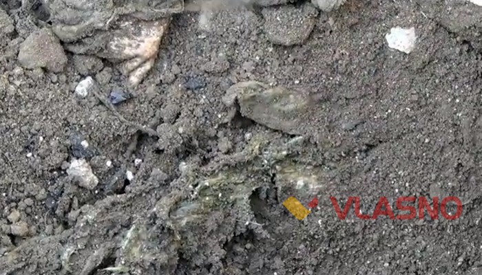 відходи в Бершаді фото