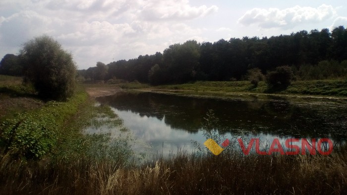 ставки в Тростянці фото