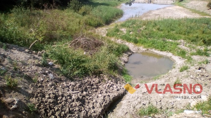 ставки в Тростянці фото