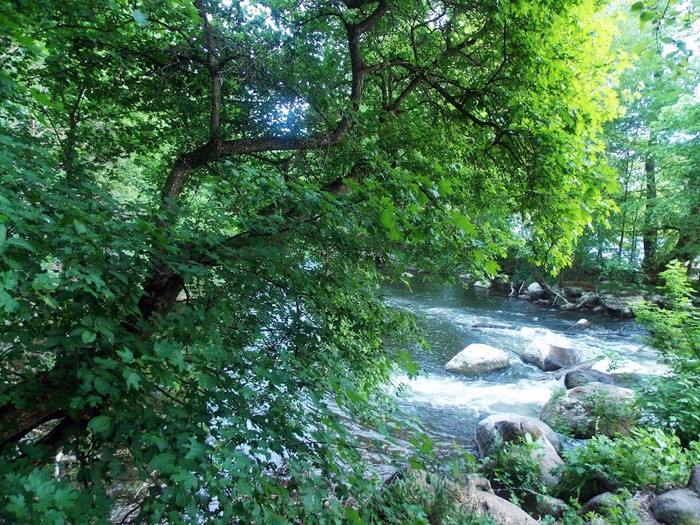 Подільська Швейцарія фото