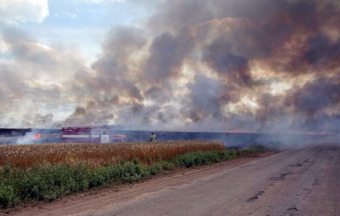 згоріло пшеничне поле на Донеччині фото