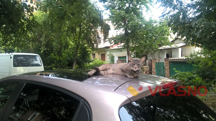 вінницькі тваринки-8