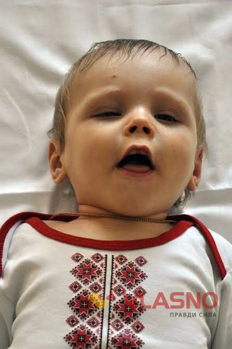 Нікіта Добровольський фото