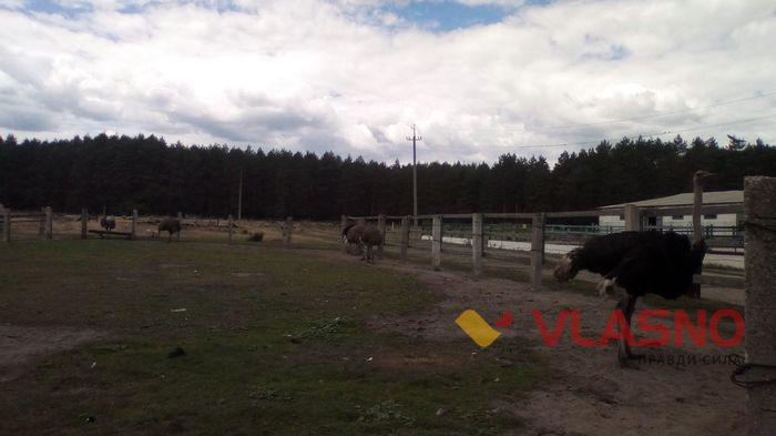 Ямпіль Донецька область фото