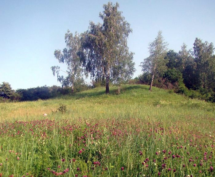 Кармалюкове Поділля фото