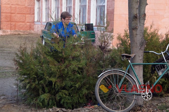 парк у селі Клебань фото