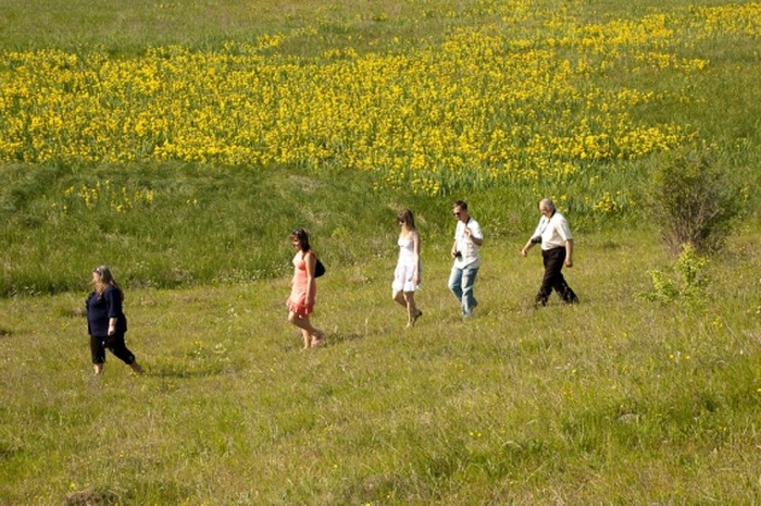 Долина ірисів фото