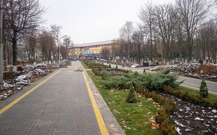 Ладижинський гай фото