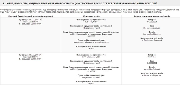 декларація Костянтина Ліваковського фото