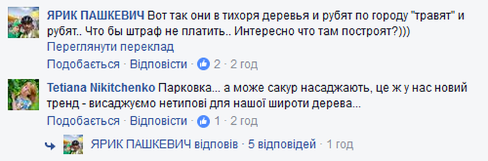 вирізали ялинки біля Вінницької міськради фото